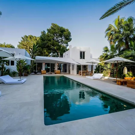 Lavish Near